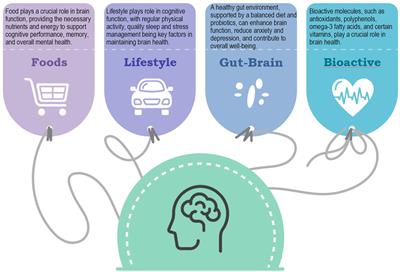 Enriching the Mediterranean diet could nourish the brain more effectively